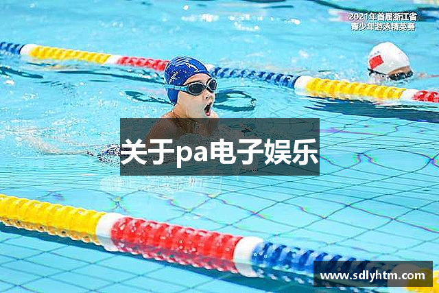 关于pa电子娱乐